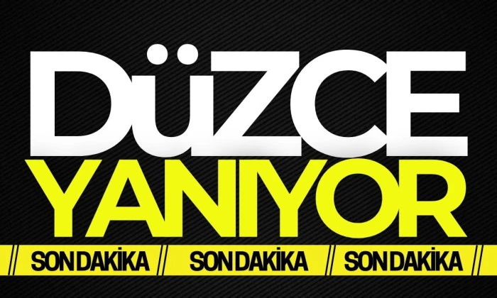 Düzce'de feci yangın