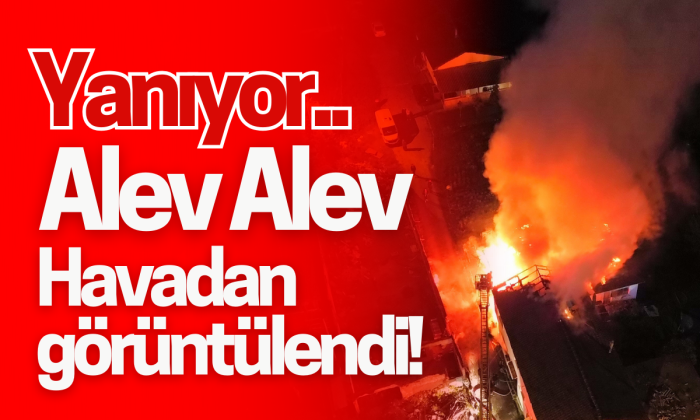 Düzce'de 2 ev ve odunluk alev alev yandı