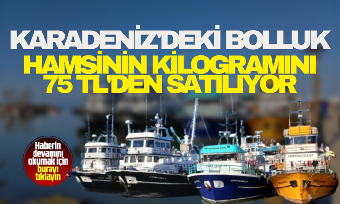 Karadeniz'deki bolluk tezgahlara da yaradı