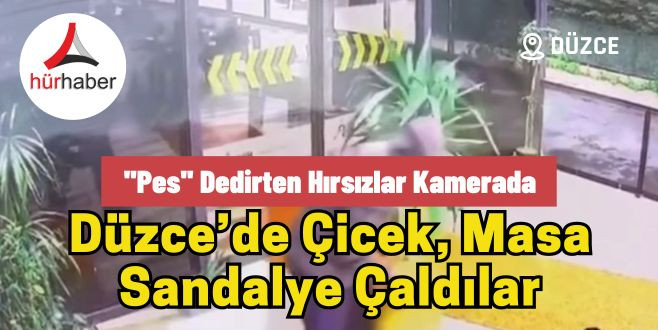 Düzce'de ilginç hırsızlık Çicek, Masa Sandalye Çaldılar