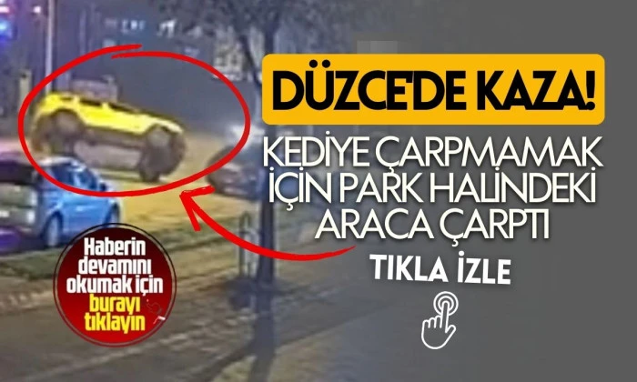 Düzce Taksi Kazası: Kedi Nedeniyle Yan Yattı