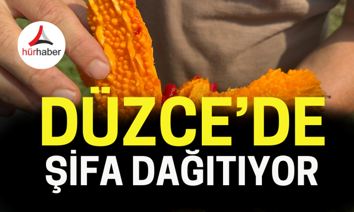 Kudret narı şifa dağıtıyor
