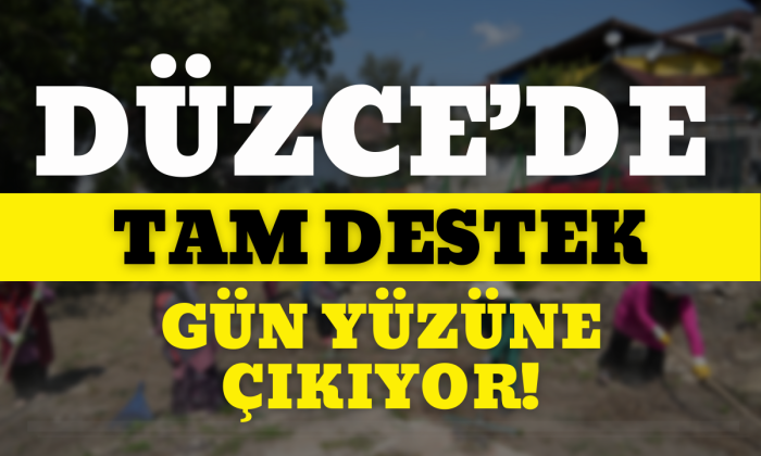 Düzce'de tam deste! Gün yüzüne çıkıyor!