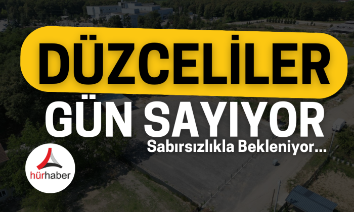 Düzceliler müjde 10 dönüm mesire alanı kullanıma hazır