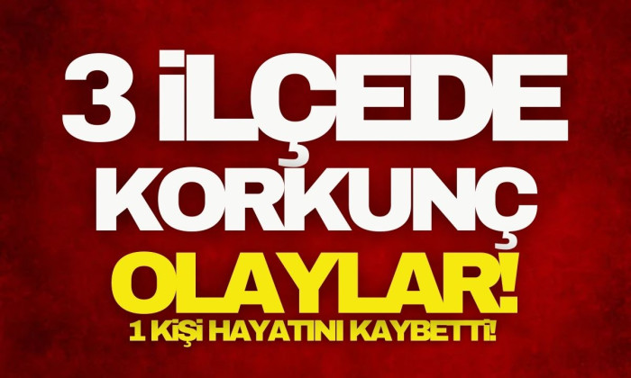 Düzce'de 3 ayrı ilçede yangın çıktı! 1 kişi hayatını kaybetti 
