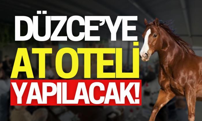 At oteli yapılacak!