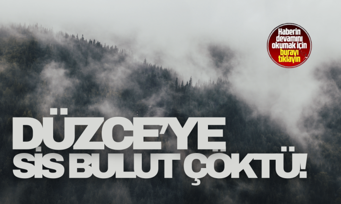 Düzce'de göz göze görmüyor
