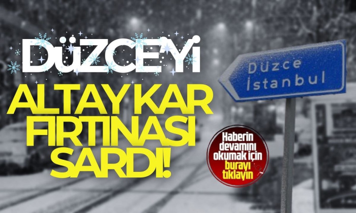 Altay kar fırtınası Düzce'de etkisini gösterdi! 