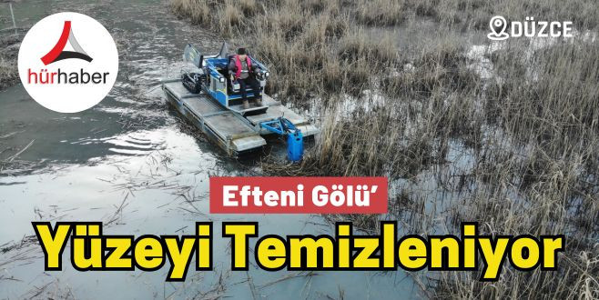 Efteni Gölü’nün yüzeyi temizleniyor