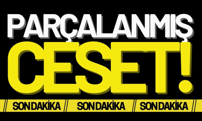 Otoyolda feci ölüm parçalanmış cesedi bulundu!