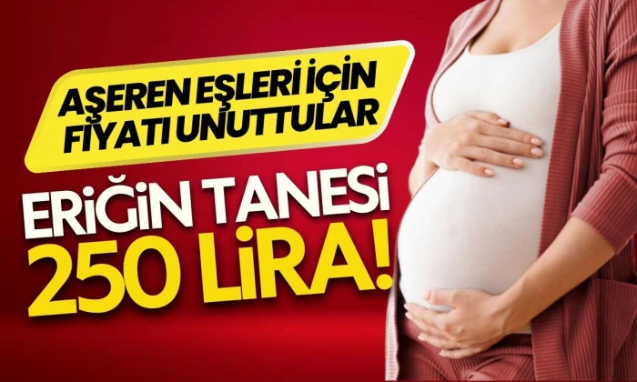 Düzce'de Yaz Eriği: Tanesi 250 Lira Hamilelere