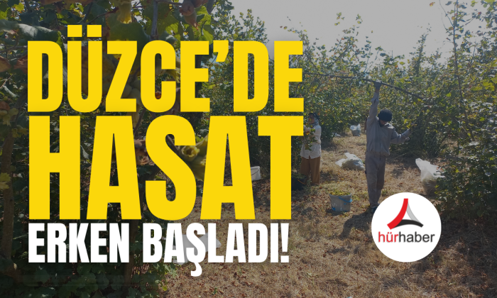Üreticiler, gözü gibi baktıkları mahsulü toplamaya başladı.