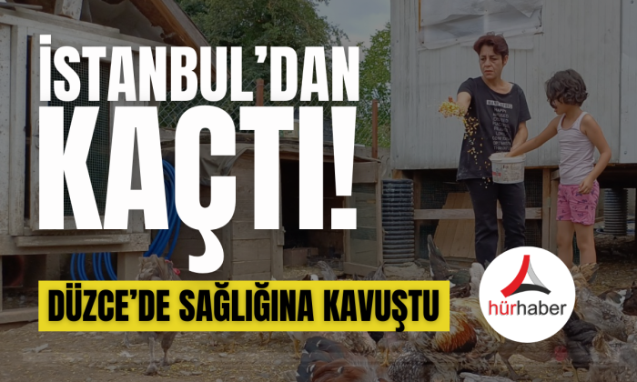 Düzce'de sağlığına kavuştu! 