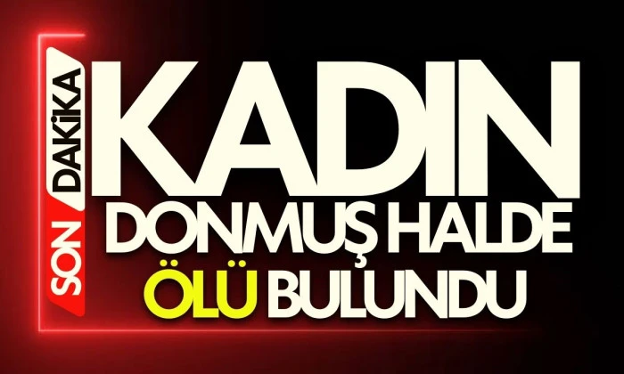 80 yaşındaki kadın donmuş halde ölü bulundu
