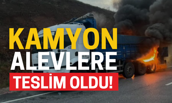 Kamyon alevlere teslim oldu