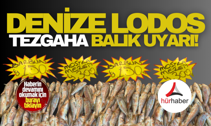 Denize lodos, tezgaha balık uyarısı
