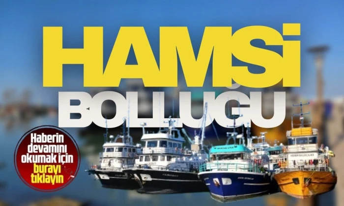 Karadeniz'de hamsi yoğunluğu devam ediyor