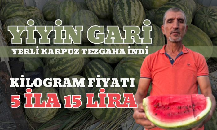 Kilogram fiyatı 5 ila 15 lira olan Düzce karpuzu tezgahta yerini aldı!