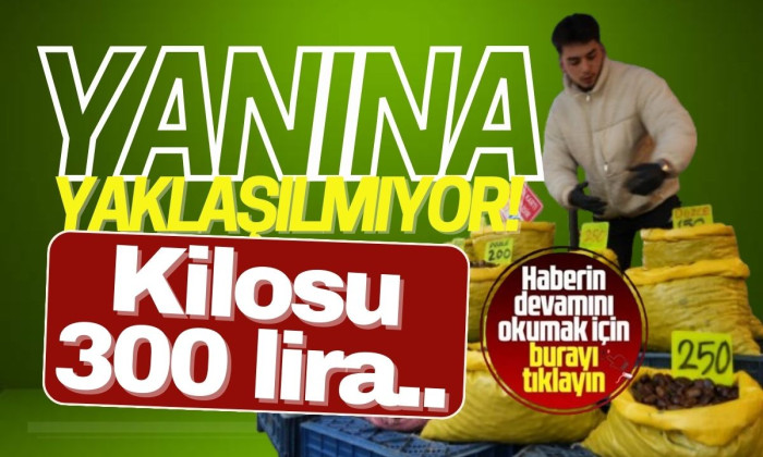 Kestane fiyatları yükseldi: 2025 Cep yakıyor! 