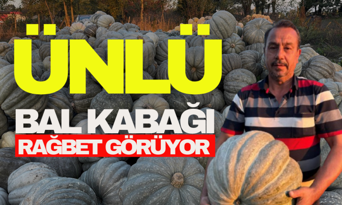 Ünlü bal kabağı kilosu 10 liradan tezgaha indi