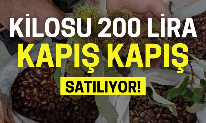 Kilosu 200 lira, kapış kapış satılıyor