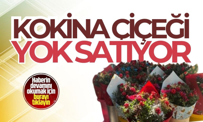 Tavşan Memesi otu ve silcan meyvesine yoğun ilgi!