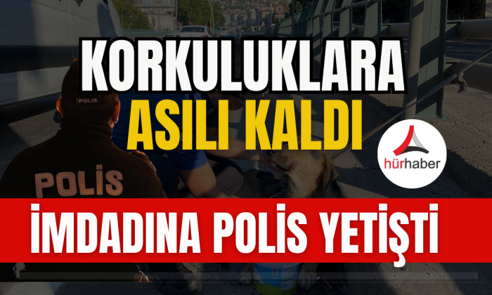 Korku dolu gözlerle bekleyeni polis kurtardı