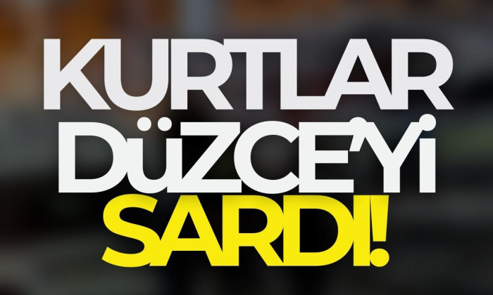 Aç kalan Kurtlar etrafı sardı! O anlar kamerada