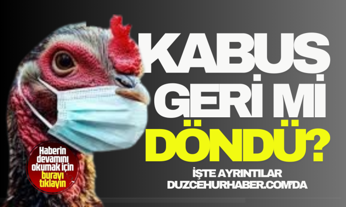 Kuş gribi karşı uzman uyarısı!
