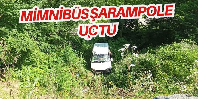 Minibüs Şarampole Uçtu