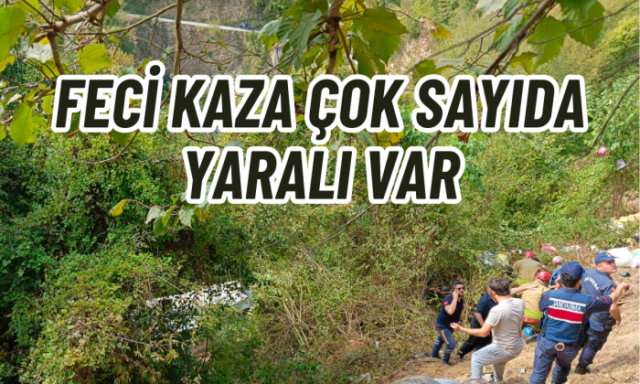 Düzce'de minibüs uçuruma yuvarlandı: Çok sayıda yaralı var