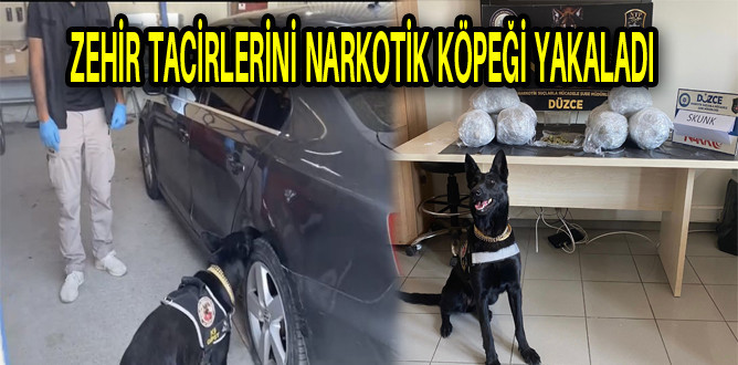 Narkotik köpeği tepkisi 6 kilo uyuşturucuyu yakalattı