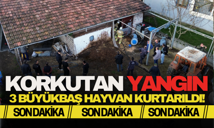 Samanlıkta çıkan yangına zamanında müdahale