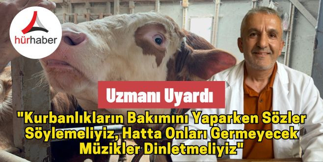 Şerif Ali Karanfil, Uzmanı uyardı: Kurbanlıkların bakımında 