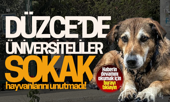 Üniversiteliler sokak hayvanlarını unutmadı