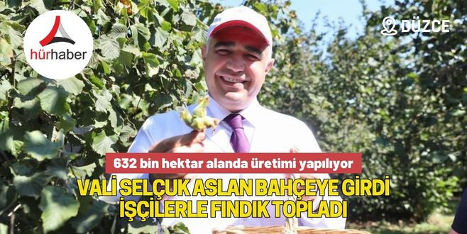 Vali Selçuk Aslan bahçeye girdi işçilerle fındık topladı