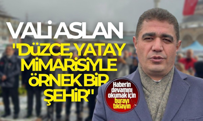 Düzce, yatay mimarisiyle örnek bir şehir