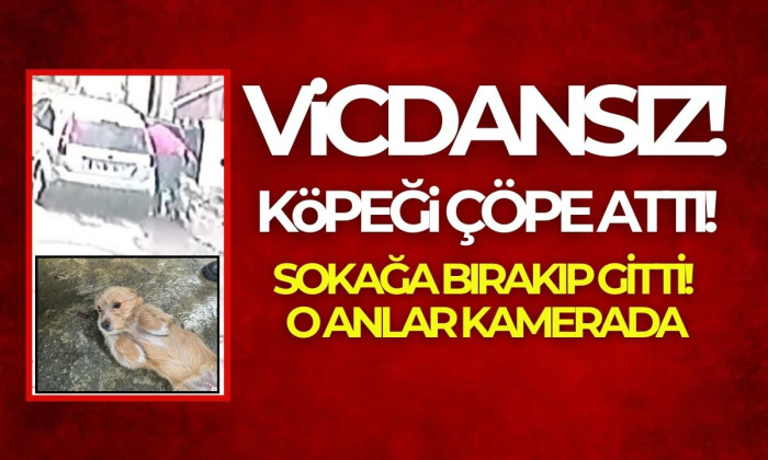 Önce çöpü attı sonra köpeğini sokağa bırakıp gitti, o anlar güvenlik kamerasında