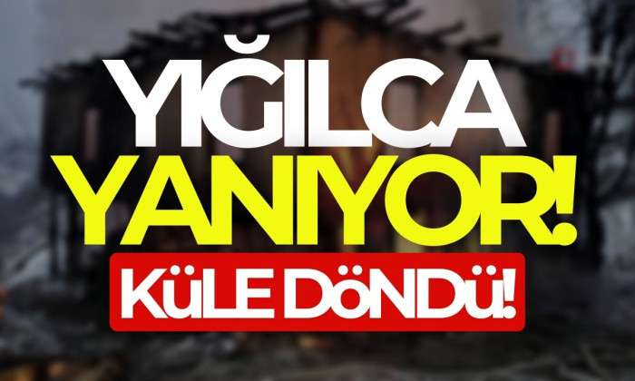 Alev topuna dönen 2 katlı yapı küle döndü! 