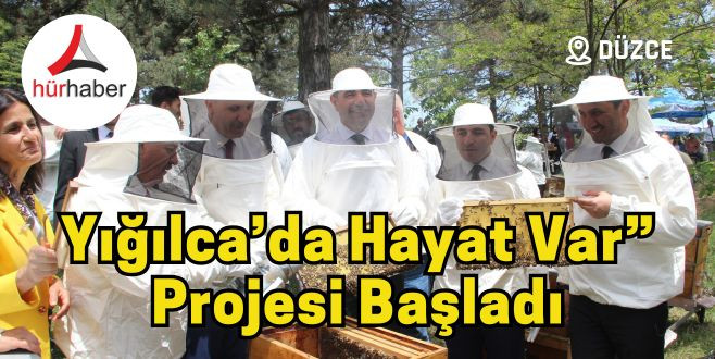 Kovanda arı, Yığılca’da hayat var” projesi başladı 