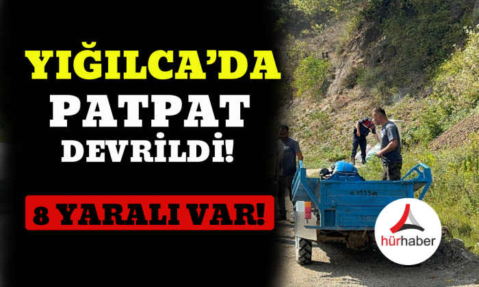 Yığılca'da patpat devrildi 8 yaralı var!
