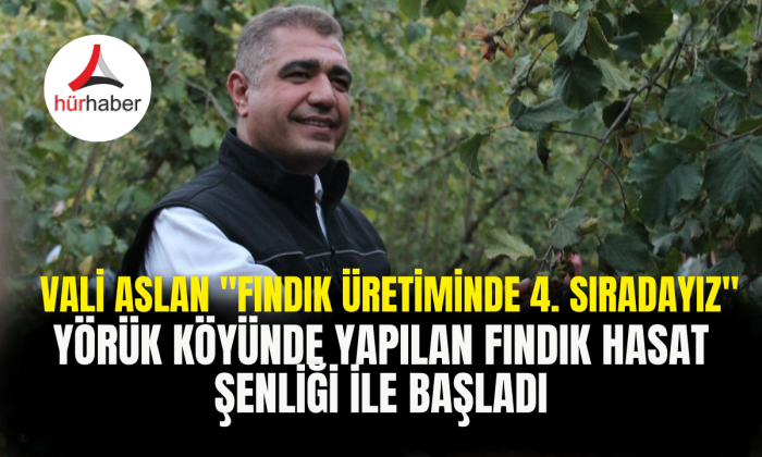 Vali Aslan 